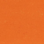 0170 Kumquat Orange